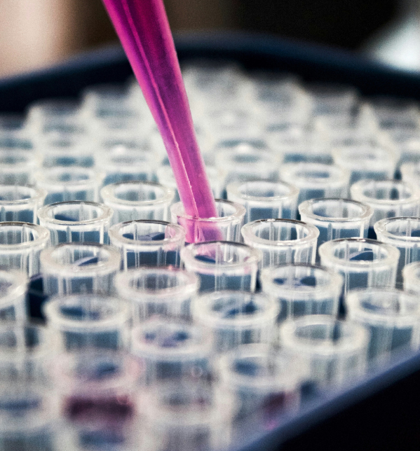 Medical Sciences